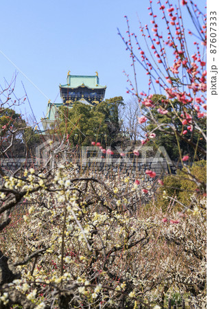 大阪城　梅園 87607333