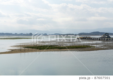 松川浦桟橋からの風景　海苔の養殖棚　福島県相馬市 87607501