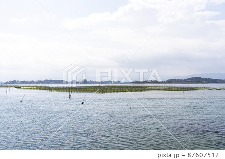 松川浦桟橋からの風景　海苔の養殖棚　福島県相馬市 87607512