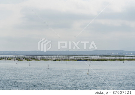松川浦桟橋からの風景　海苔の養殖棚　福島県相馬市 87607521