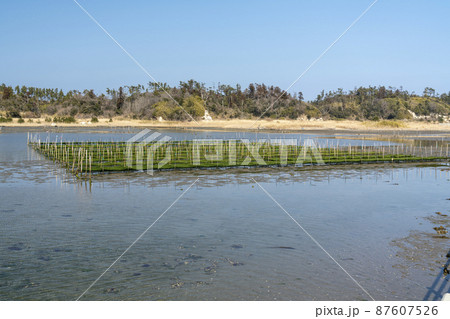 松川浦桟橋からの風景 海苔の養殖棚 福島県相馬市 松川浦桟橋からの風景 海苔の養殖棚 福島県相馬市 87607526