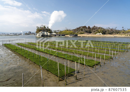 松川浦桟橋からの風景　海苔の養殖棚　福島県相馬市 87607535