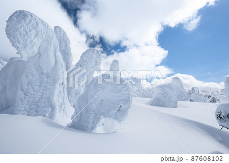 山形蔵王の白銀世界の樹氷 山形蔵王の白銀世界の樹氷 87608102