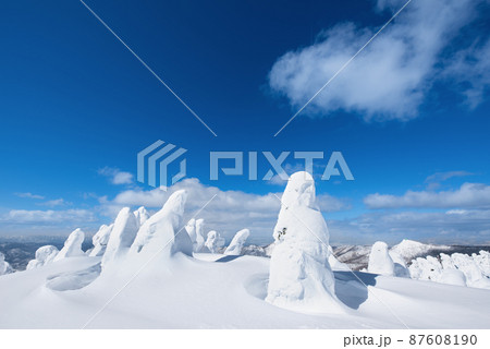 快晴山形蔵王の白銀世界の樹氷 87608190