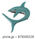泳ぐサメ　イラスト　透過 87608326