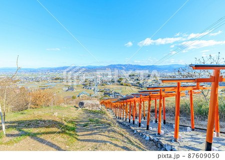 冬の浮羽稲荷神社　福岡県うきは市 87609050
