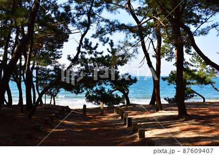 生の松原海岸　 87609407