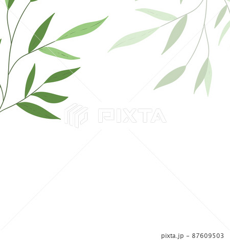 Floral web banner with drawn color exotic leaves. Nature concept design. Modern floral frame with summer branches. Vector illustration. Copy space 87609503