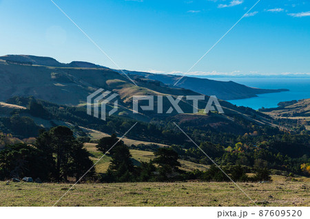 ニュージーランド　南島の町、アカロア郊外の丘から望むバンクス半島の風景 87609520