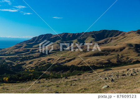 ニュージーランド　南島の町、アカロア郊外の丘から望むバンクス半島の風景 87609523