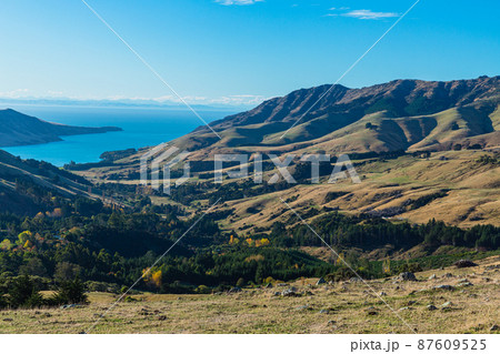 ニュージーランド 南島の町、アカロア郊外の丘から望むバンクス半島の風景 ニュージーランド 南島の町、アカロア郊外の丘から望むバンクス半島の風景 87609525