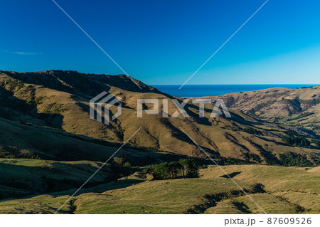 ニュージーランド　南島の町、アカロア郊外の丘から望むバンクス半島の風景 87609526
