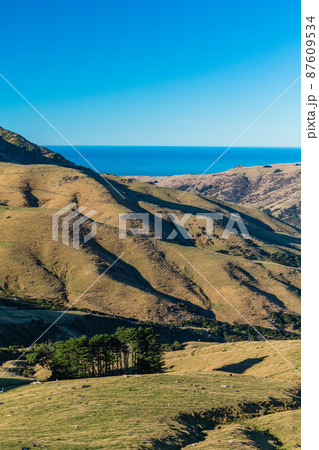 ニュージーランド 南島の町、アカロア郊外の丘から望むバンクス半島の風景 ニュージーランド 南島の町、アカロア郊外の丘から望むバンクス半島の風景 87609534