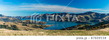 ニュージーランド　丘から望む南島のバンクス半島とアカロア湾 87609538