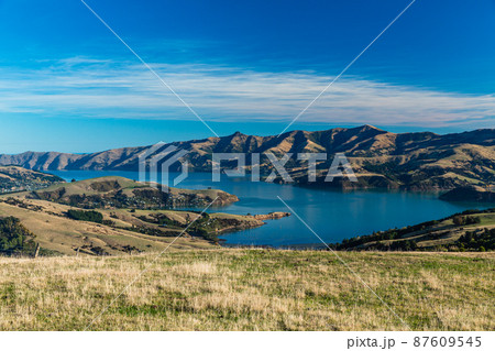 ニュージーランド 丘から望む南島のバンクス半島とアカロア湾 ニュージーランド 丘から望む南島のバンクス半島とアカロア湾 87609545