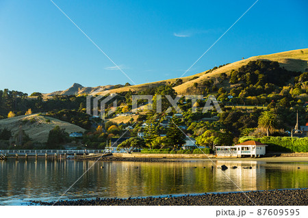 ニュージーランド　南島のバンクス半島に位置する町、アカロアの町並みとアカロア湾の風景 87609595