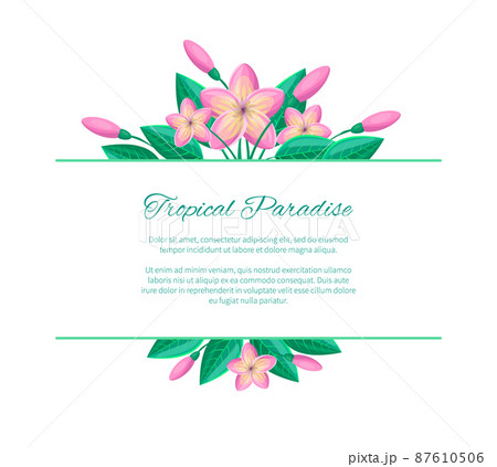 Tropical Paradise Web Poster Design Place for Text Tropical Paradise Web Poster Design Place for Text 87610506