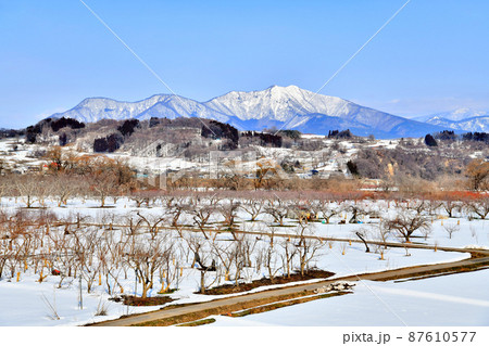 上今井より高社山方面を望む(長野県中野市)【2022.3】 87610577