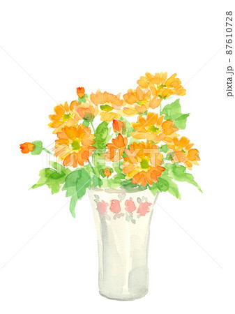 陶器の花瓶に生けたオレンジ色のヒメキンセンカ【手描き水彩画】花言葉