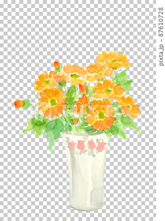 陶器の花瓶に生けたオレンジ色のヒメキンセンカ【手描き水彩画】花言葉 「慈愛」白バック 透過背景  87610728