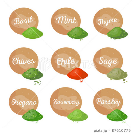Basil Mint Spices Collection Vector Illustration 87610779