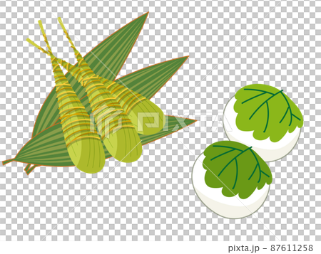 5月_端午の節句のちまきと柏餅 87611258