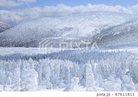 蔵王と樹氷 蔵王と樹氷 87611813