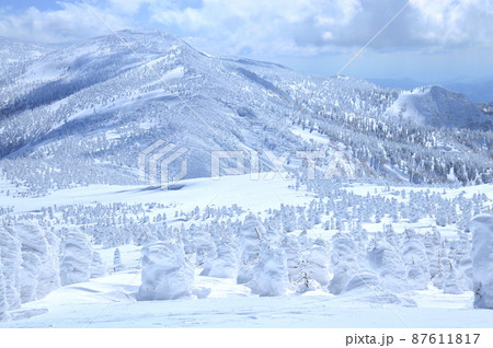 蔵王と樹氷 87611817