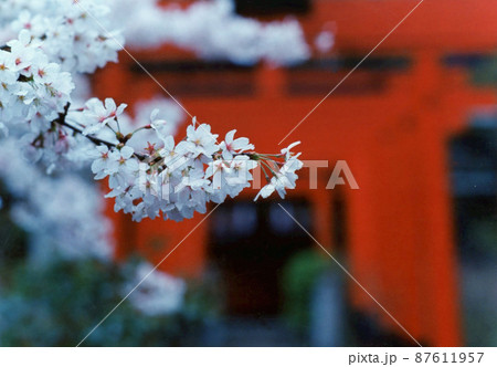 平成450 平成450 87611957