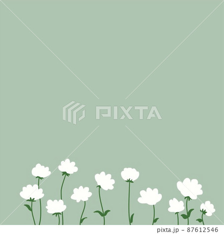 花畑 白 緑 壁紙 イラストのイラスト素材