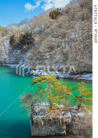 岩の小島に立つ松【冬の麻績川】 87612824