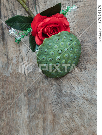 Red rose flower and Fresh green lotus seed pods on old wooden board background. 87614176
