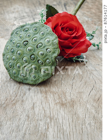 Red rose flower and Fresh green lotus seed pods on old wooden board background. Red rose flower and Fresh green lotus seed pods on old wooden board background. 87614177