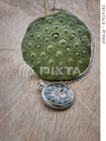 A retro pocket watch and Fresh green lotus seed pods on old wooden board background. A retro pocket watch and Fresh green lotus seed pods on old wooden board background. 87614182