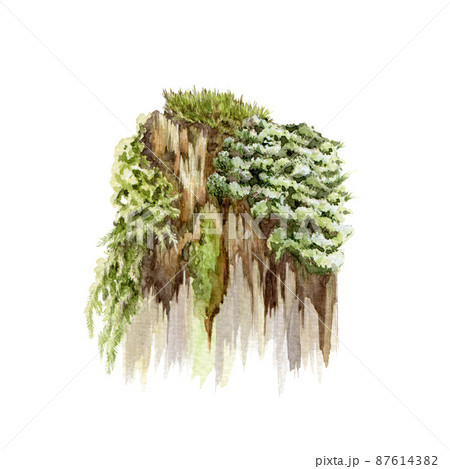 Old stump with moss. Watercolor realistic illustration. Tree rotten trunk with green moss and grass. Old wood stump with green lichen, plants. White background 87614382