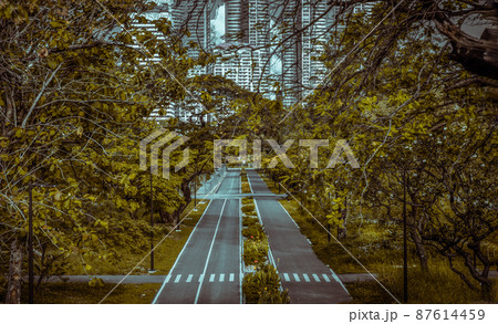 Trails for running and cycling in a large city park in the center of the city. Empty street, Relax in park, 87614459