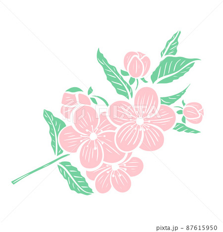 Flowering tree branch isolated object 87615950
