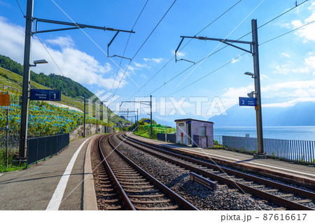 Epesses駅から眺めるラヴォー地区のぶどう畑とレマン湖（スイス） 87616617