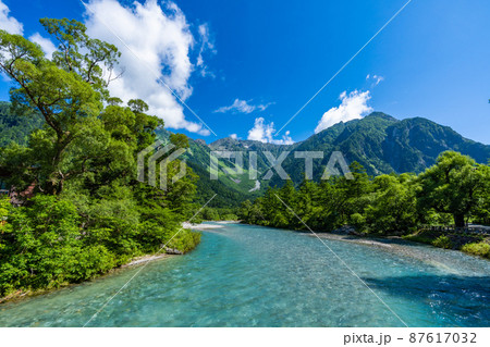 初夏の森と清流が美しい上高地 87617032