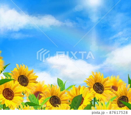 太陽の光が差し込む雲のある青空にかすかな虹と美しいひまわり畑の初夏フレーム背景素材のイラスト素材