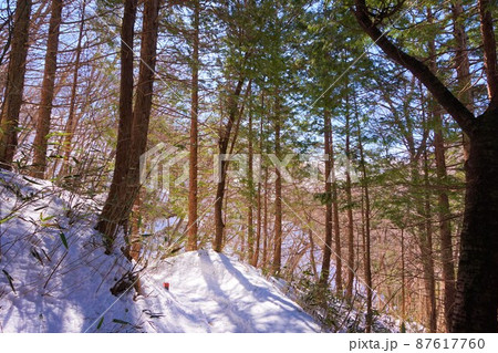 雪道　雪山　滝沢の不動滝　不動大滝　群馬県指定名勝　赤城山　爆布　滝　氷瀑 87617760
