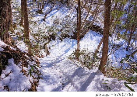 雪道　雪山　滝沢の不動滝　不動大滝　群馬県指定名勝　赤城山　爆布　滝　氷瀑 87617762