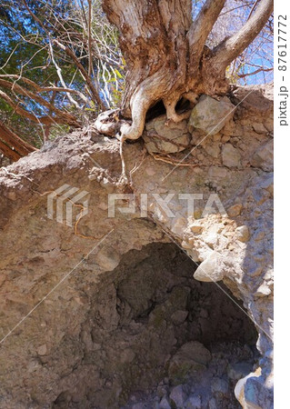 忠治みはり岩　国定忠治　滝沢の不動滝　不動大滝　群馬県指定名勝　赤城山　爆布　滝　氷瀑 87617772