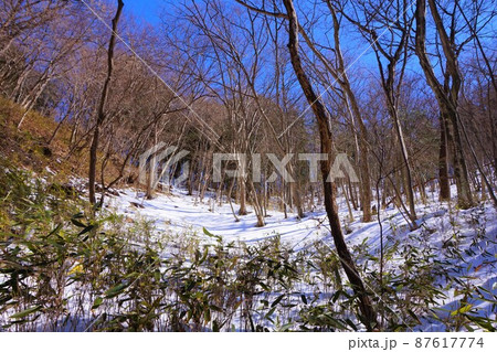 雪道 雪山 滝沢の不動滝 不動大滝 群馬県指定名勝 赤城山 爆布 滝 氷瀑 雪道 雪山 滝沢の不動滝 不動大滝 群馬県指定名勝 赤城山 爆布 滝 氷瀑 87617774