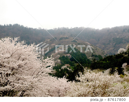 霞間ヶ渓 桜3 87617800