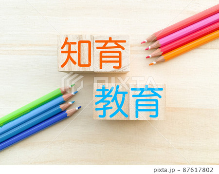 知育教育 87617802