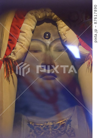 京都北野白梅町地蔵院椿寺の仏像 京都北野白梅町地蔵院椿寺の仏像 87617890