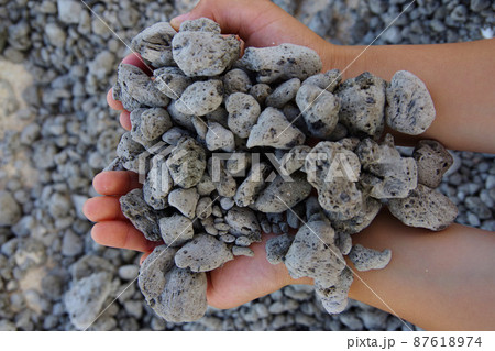 軽石　奄美大島に流れ着いた軽石　福徳岡ノ場　噴火　海底火山 87618974