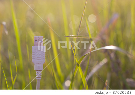 White USB cable on grass - green technology. 87620533
