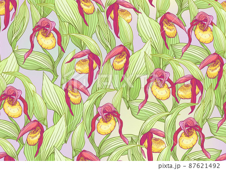 Lady's slipper orchid, Cypripedioideae, Seamless pattern, background. Lady's slipper orchid, Cypripedioideae, Seamless pattern, background. 87621492